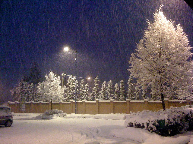 Free Snow Winter photo and picture