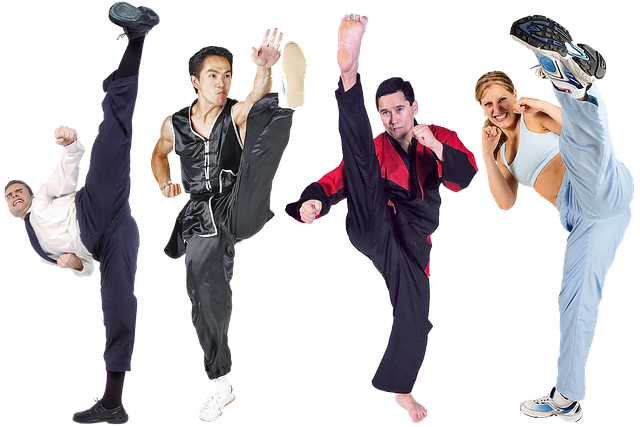 Free karate fighter attack illustration