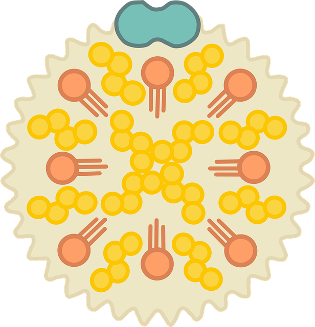 Free cholesterol bad cholesterol health illustration