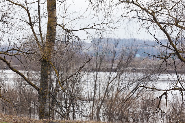Free Russian North Spring photo and picture