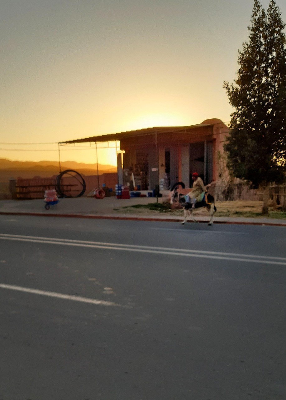 Tahanaout Morocco Marrakech Free photo on Pixabay Pixabay
