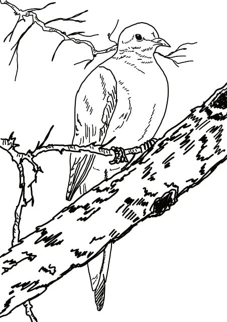 Free bird black and white sketch illustration