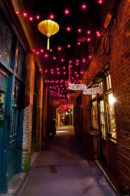 Free Fan Tan Alley Chinatown photo and picture