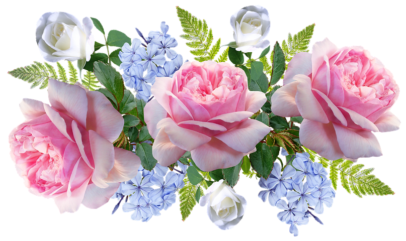 石墨 青に関する8以上の無料イラスト Pixabay