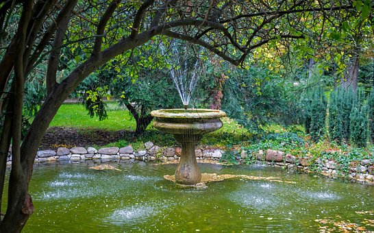 Fuente, Parque, Agua, Verde, Árboles