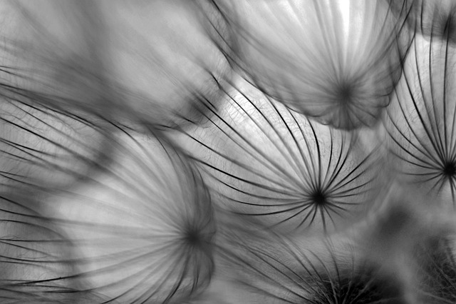 Free Shower Heads Nature photo and picture