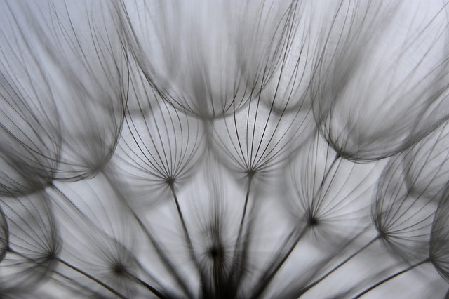 Free Shower Heads Nature photo and picture