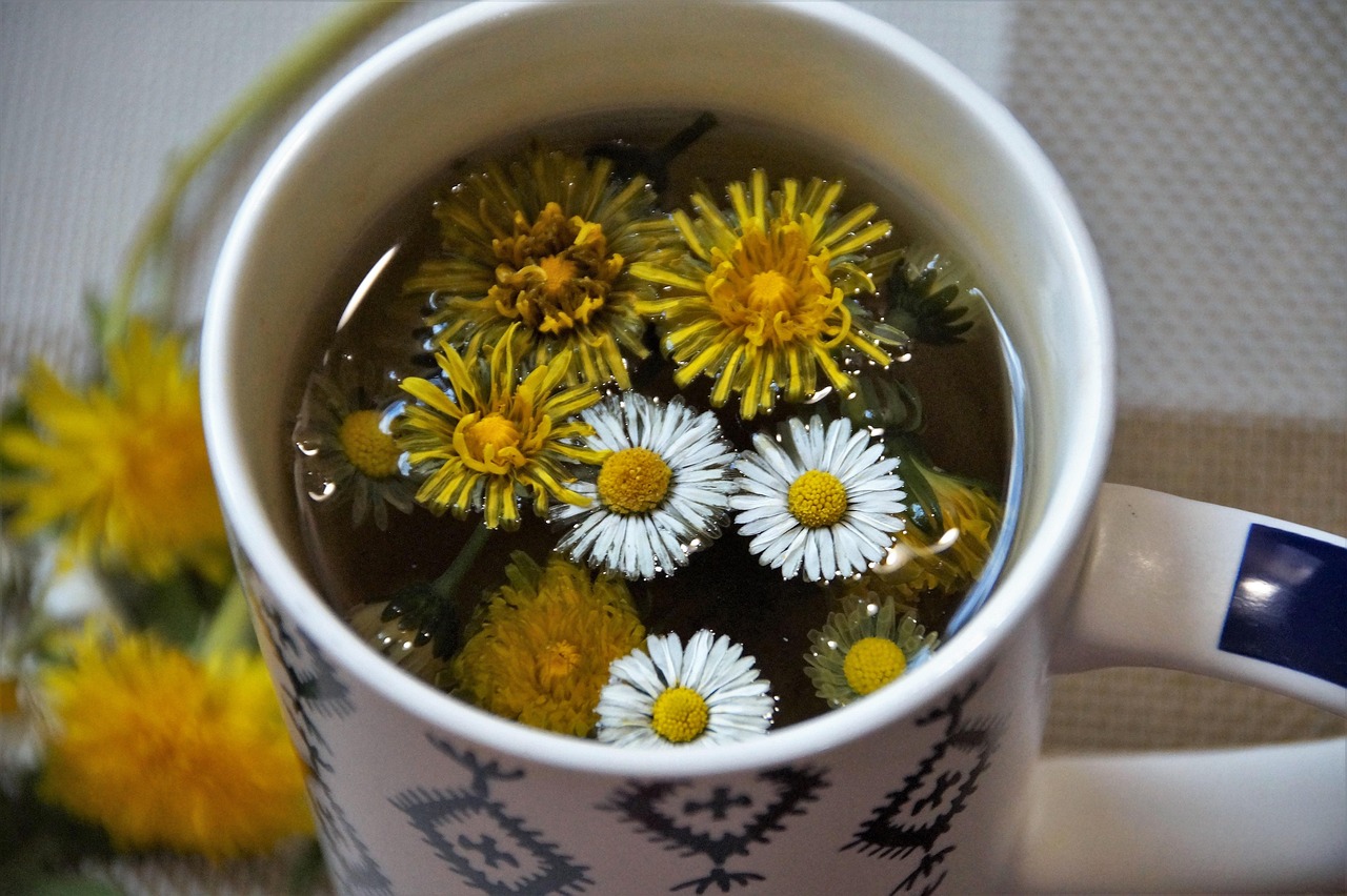 Tee, Kräuter, Löwenzahn, Gänseblümchen
