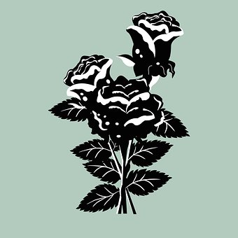 Vetor De Rosa, Rosa, Florescer, Vinho