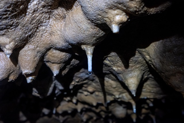 Free Small Stalactite photo and picture