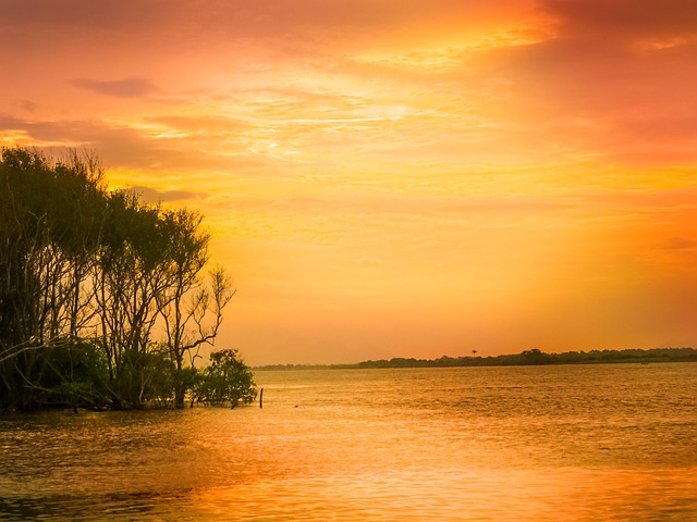 Free Sunset Sea photo and picture