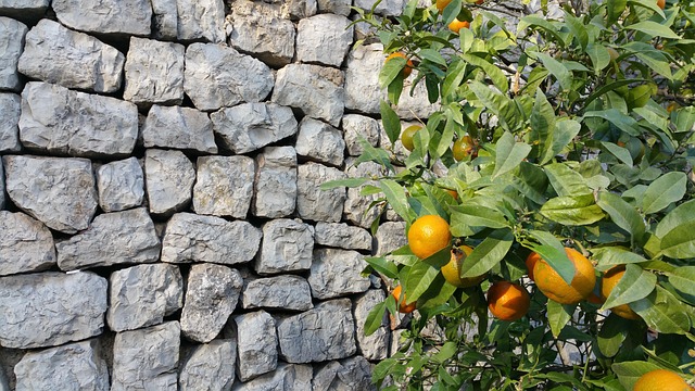Muur, Mandarijn, Stenen Muur