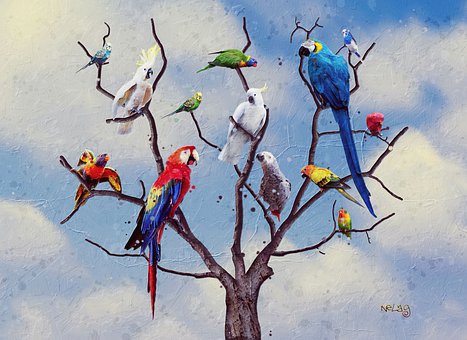 Papagei, Baum, Kreativität, Bunte