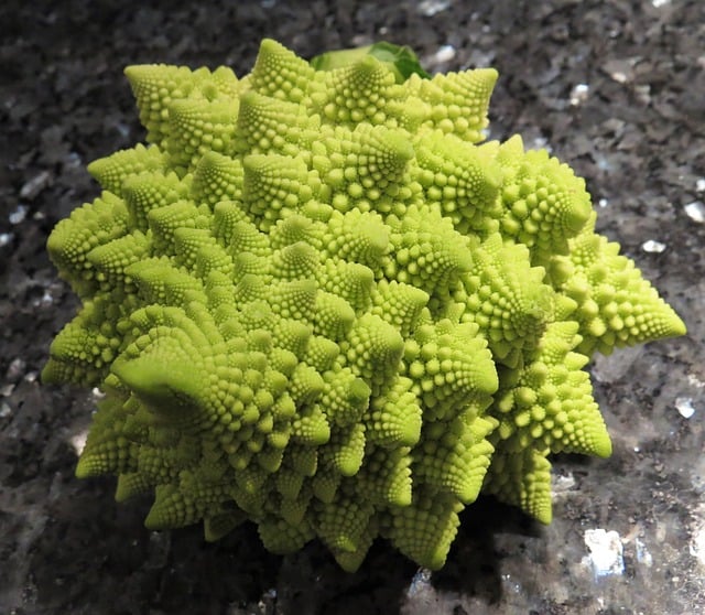 Free romanesco cabbage cauliflower illustration