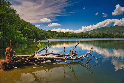 Free The Needle The Lake Of Montorfano photo and picture