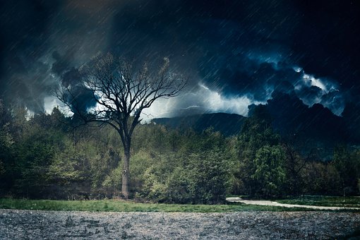 Free Thunderstorm Tree illustration and picture