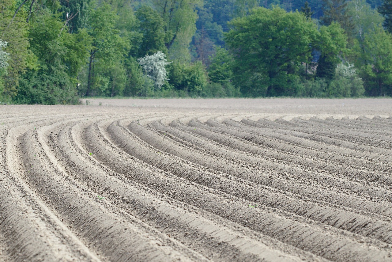 Field Lines Fields Free photo on Pixabay Pixabay