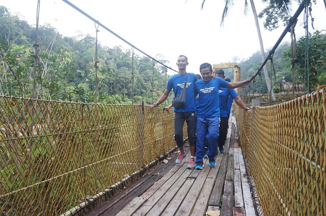 Free Hanging Bridge River photo and picture