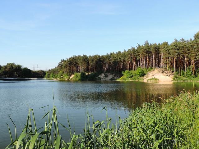 Free Lake Forest photo and picture