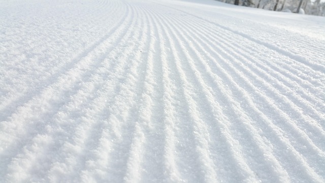 Sneeuw, Skiën, Winter, Koud, Ski