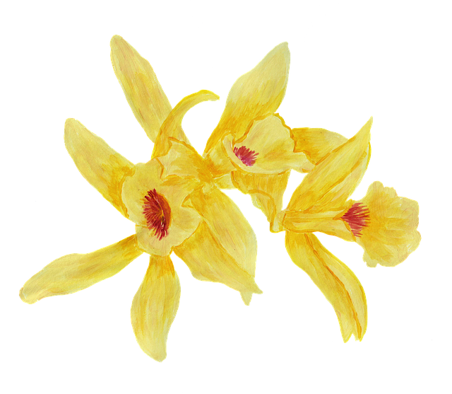 My Image 43