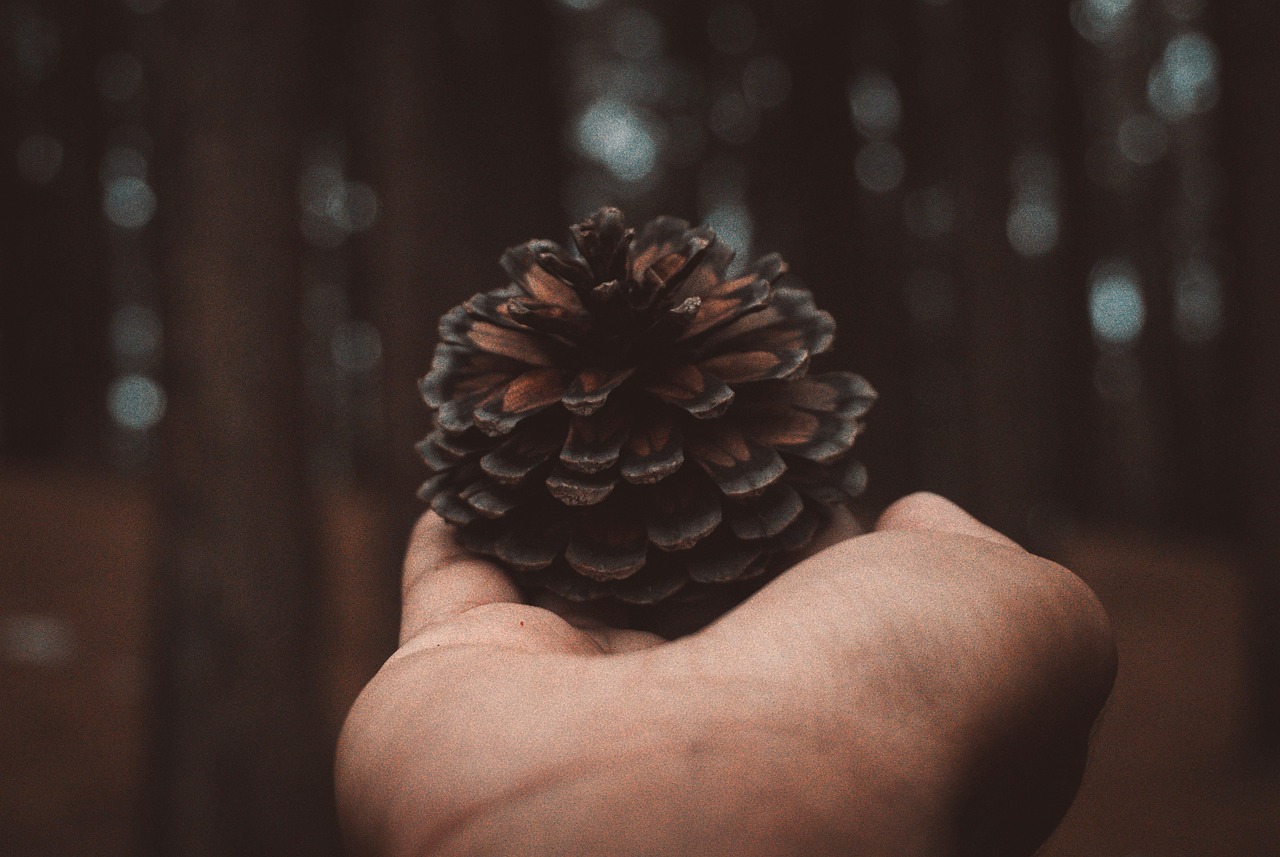 200+ Free Vibes & Summer Vibes Images - Pixabay