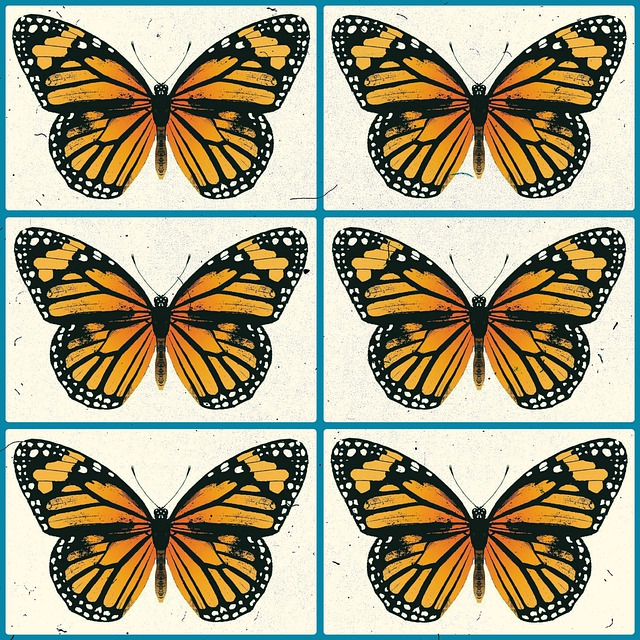 Vlinders, Botanische, Insecten