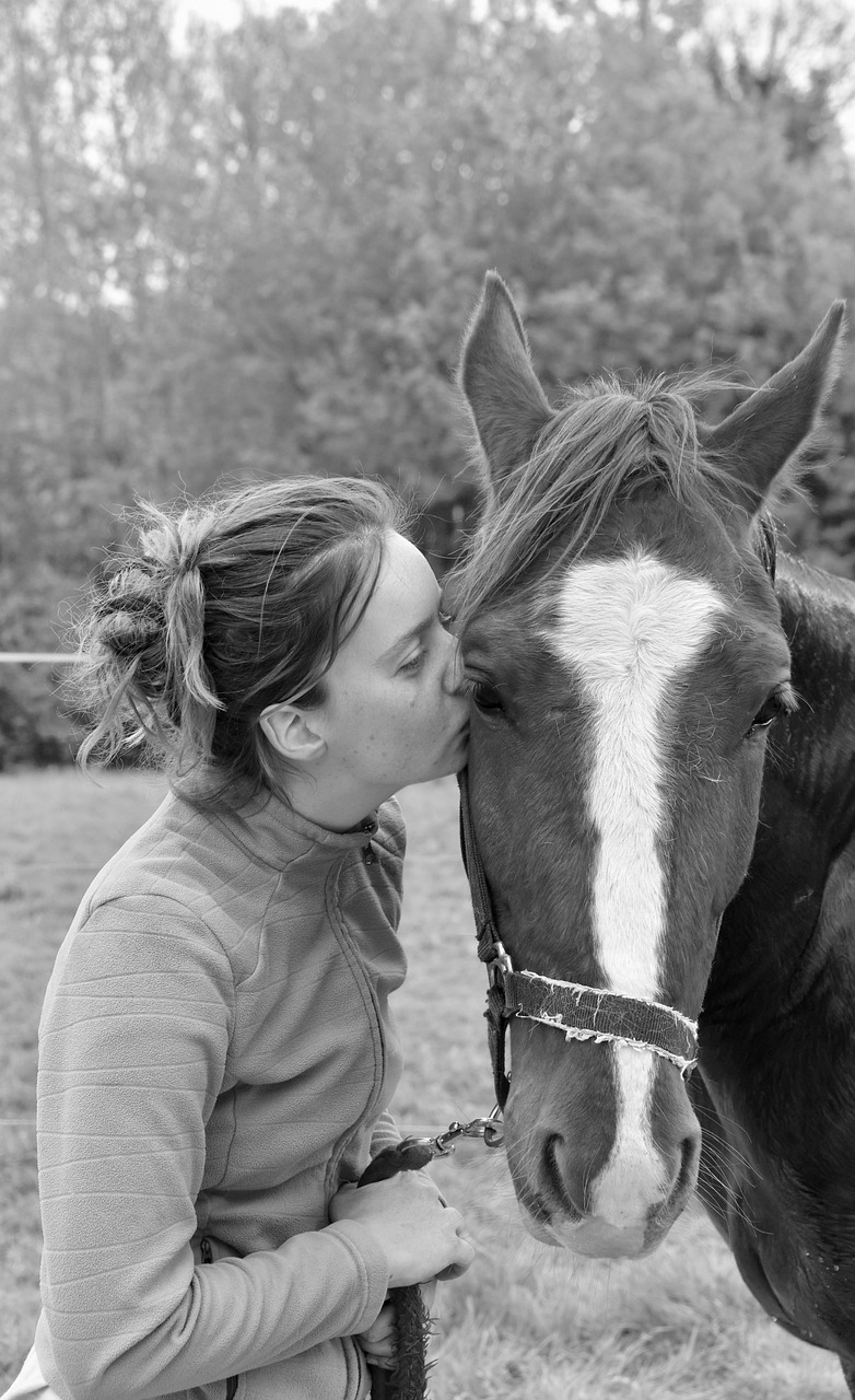 40,000+ Free Young Girl Horse Riding & Horse Images - Pixabay