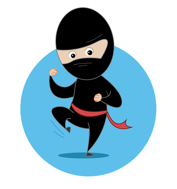 Free Ninja Fight illustration and picture