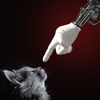 Cat, Hånd, Cyber, Kattunge, Dyr