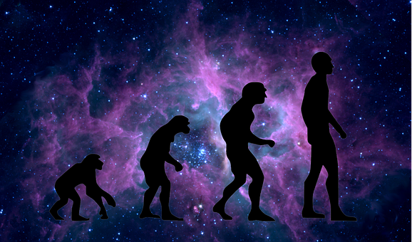 超过 40 张关于“Human Evolution”和“进化”的免费图片 - Pixabay