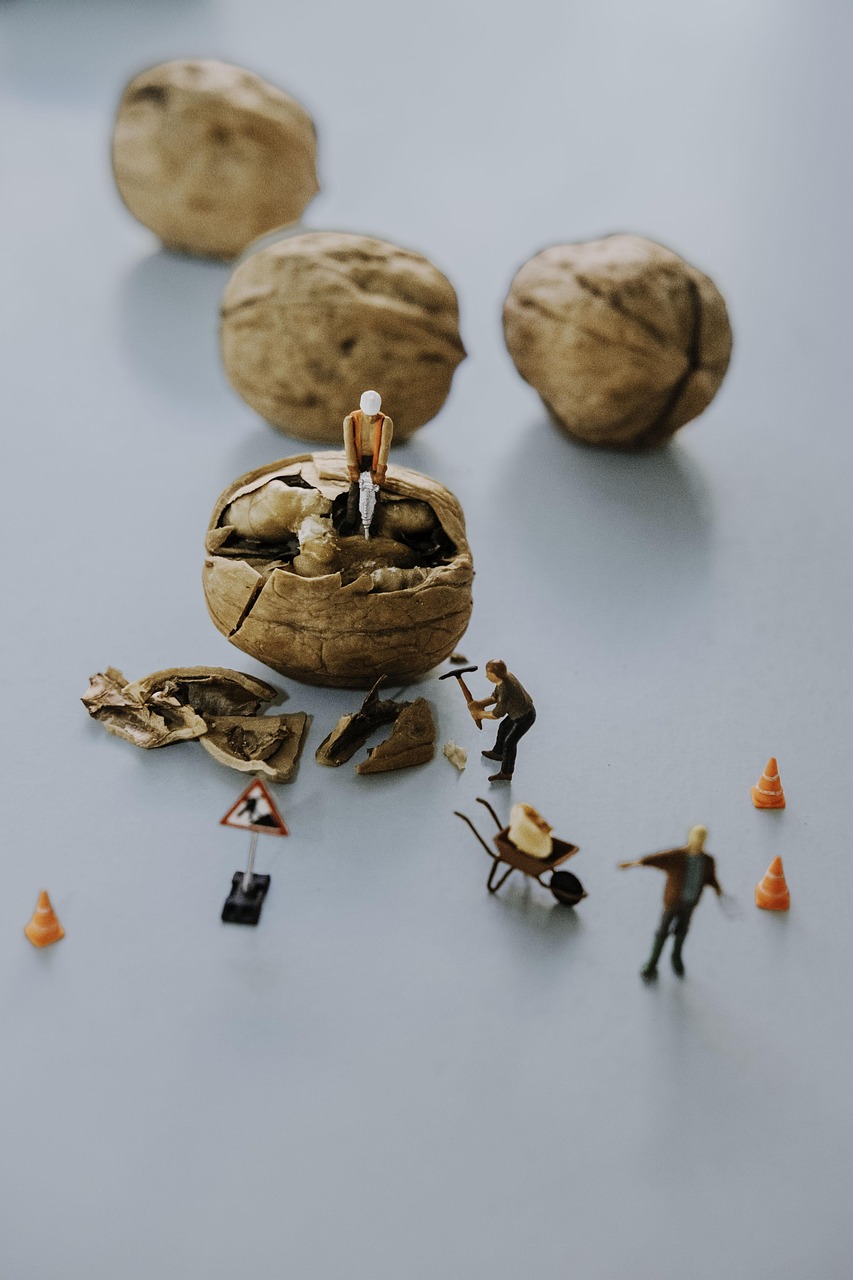 Miniatuur, Studio, Bouw, Blauwe Bouw