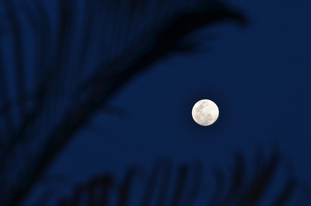 Free Moon Full photo and picture
