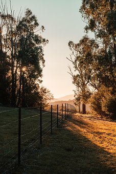 Free Sunset Golden Hour photo and picture