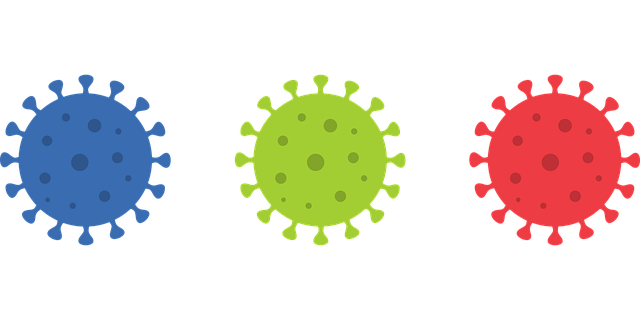 Coronavirus, Covid-19, Enfermedad, Icono