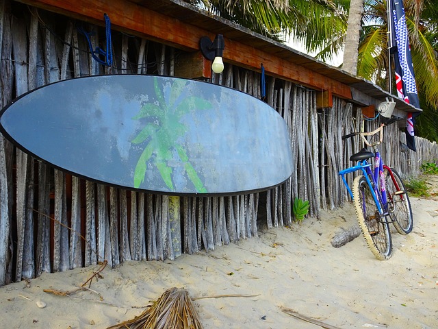 Free Wind Windsurf photo and picture