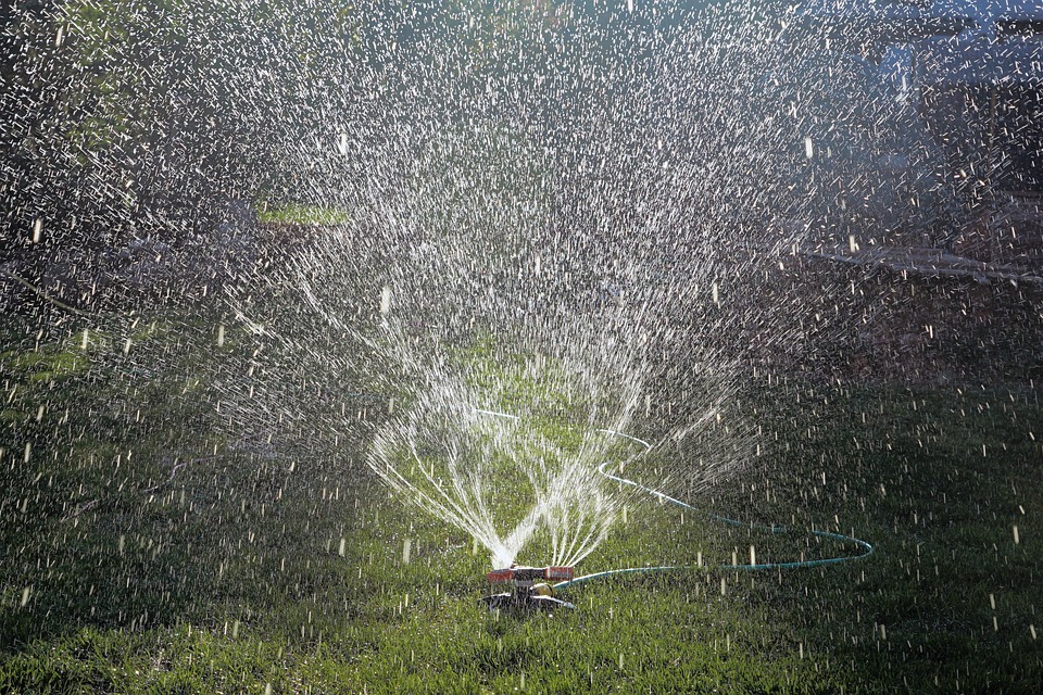 Sprinker Water Shell Water Sprinkler To - Free photo on Pixabay