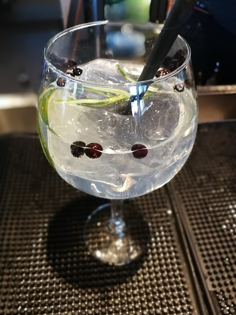 Een Gin-Tonic, Gt, Drank, Cocktail