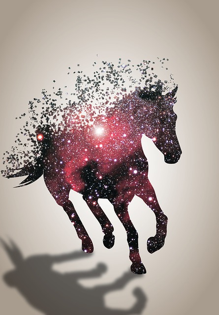 Free horse universe animal illustration