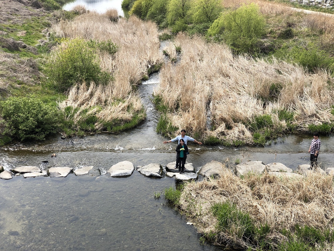 Nature River Streams - Free photo on Pixabay - Pixabay
