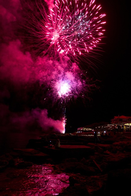 Free Fireworks Night photo and picture