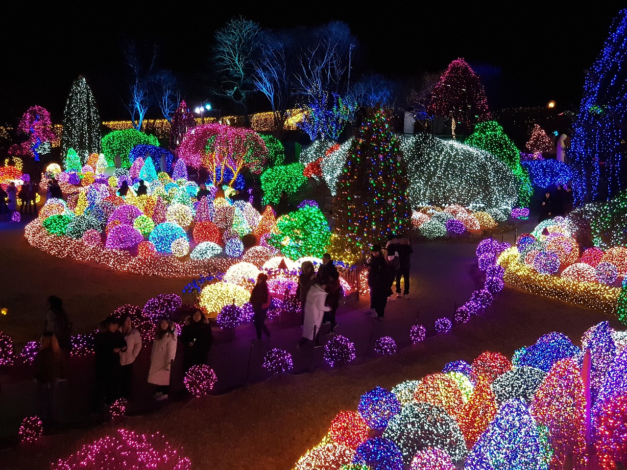 Fest Der Lichter Nacht Von Sicht - Kostenloses Foto auf Pixabay