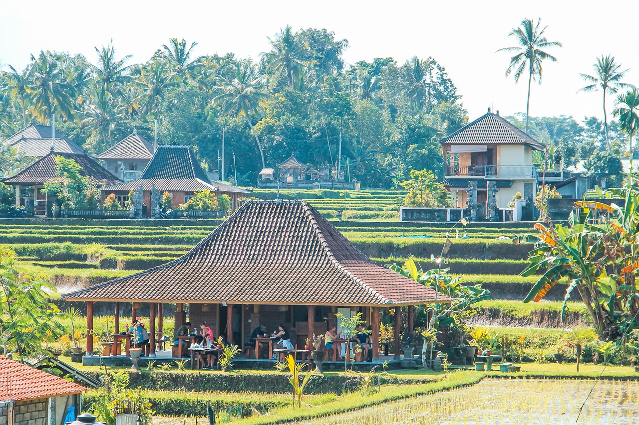 Paddy Field - free online jigsaw puzzle photo