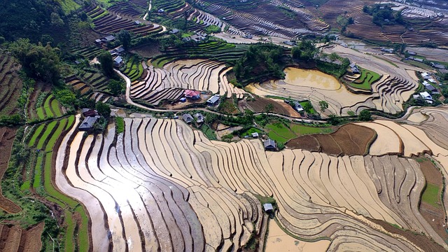 Terrasser, Vand, Flycam, Vietnam, Fly