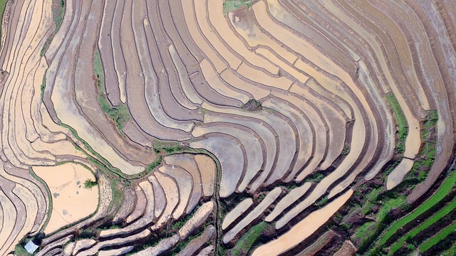 Terrasser, Vand, Flycam, Vietnam, Fly