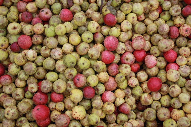 apples, cider, fruit, autumn, brown apple, brown fruits, cider, cider, cider, cider, cider