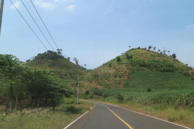 Free Road Walking photo and picture