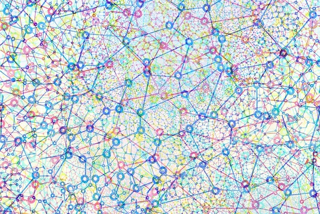 Netværk, Web, Digital