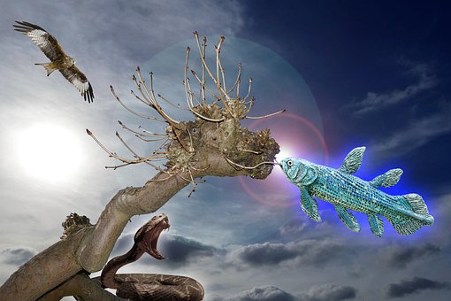 Coelacanth, Evolution, Dyr