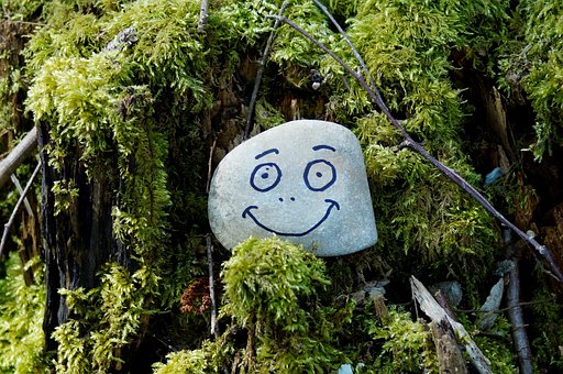 Schmunzelstein, Natur, Moos, Waldboden